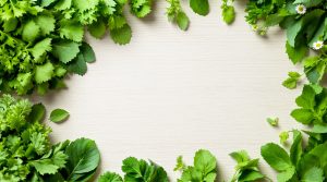 découvrez quels compléments alimentaires privilégier en 2025 pour une alimentation végétarienne équilibrée, en assurant un apport optimal en nutriments essentiels.