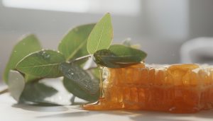 découvrez 10 méthodes rapides et efficaces pour arrêter de tousser en 5 minutes et retrouver confort et sérénité immédiatement.