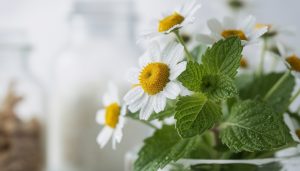 découvrez 10 astuces naturelles et traditionnelles pour prendre soin de vous efficacement, alliant bien-être et méthodes authentiques pour une routine santé réussie.