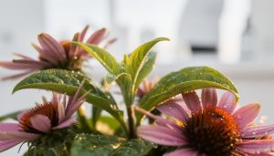 découvrez comment identifier les causes profondes de vos problèmes et explorez des solutions adaptées pour les résoudre efficacement.