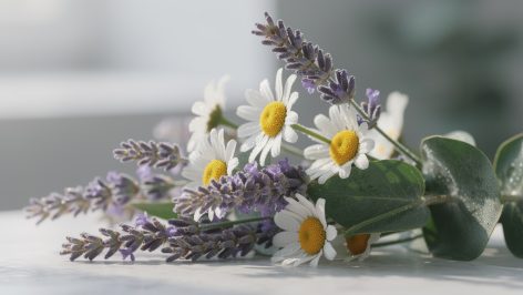 découvrez 9 solutions naturelles incontournables pour améliorer votre bien-être au quotidien et retrouver équilibre et sérénité de manière naturelle.